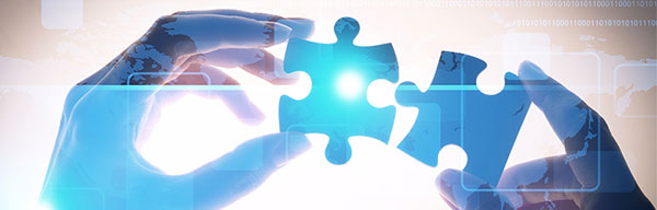 Puzzle Pieces